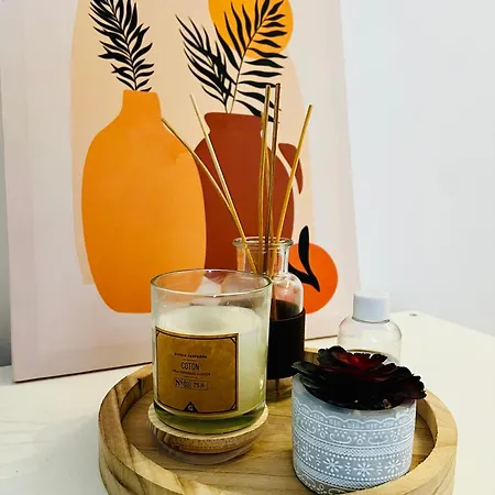 T2 Clair Et Lumineux Apartment *